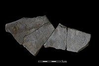 陶片藏品圖，第2張